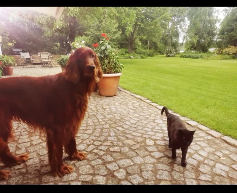 Tito