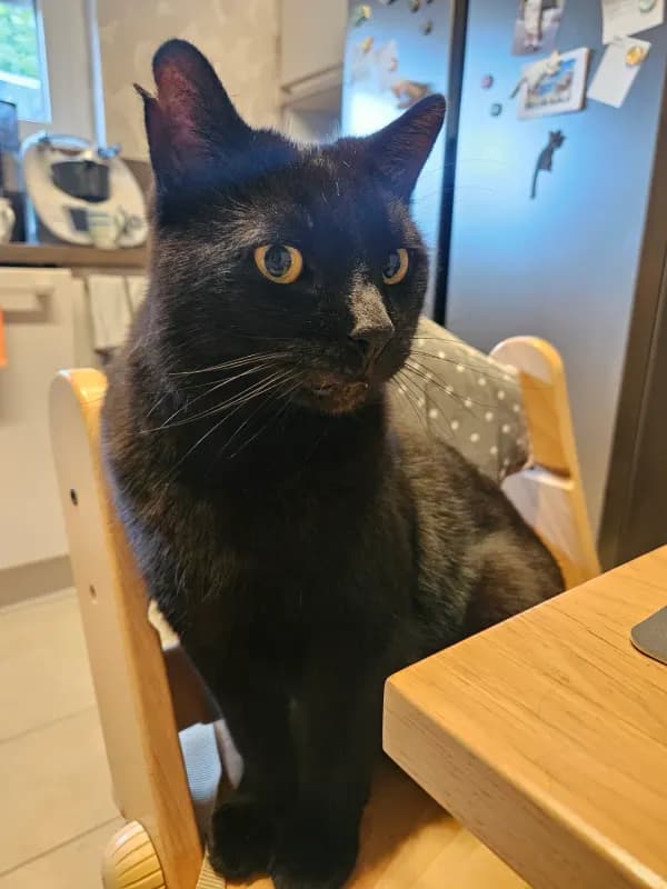 Jack