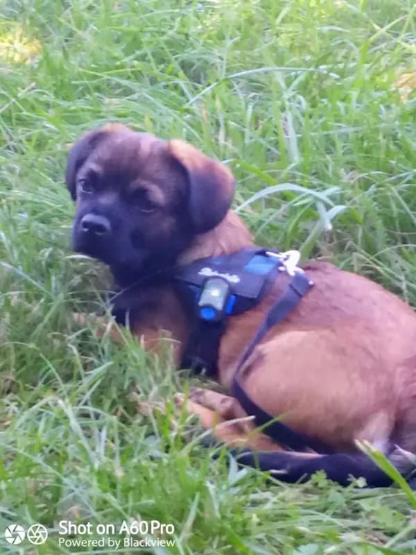 Oskar