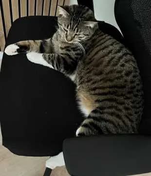 Carlo