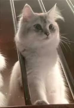 Zoey