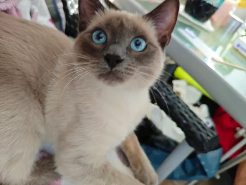 Luna