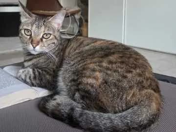 Mimi