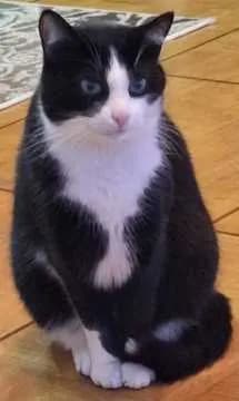 Felix