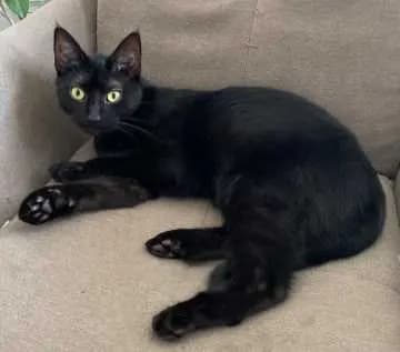 Luna