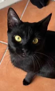 Kiki