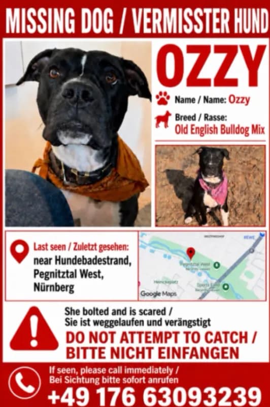 Ozzy