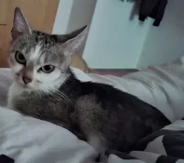 Lucy