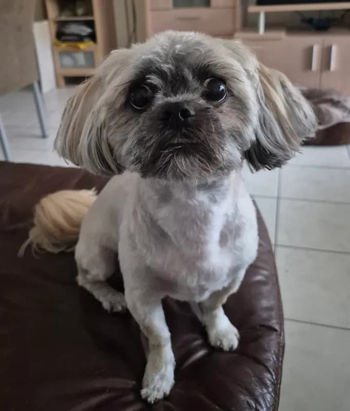 Milo