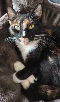 Coco
