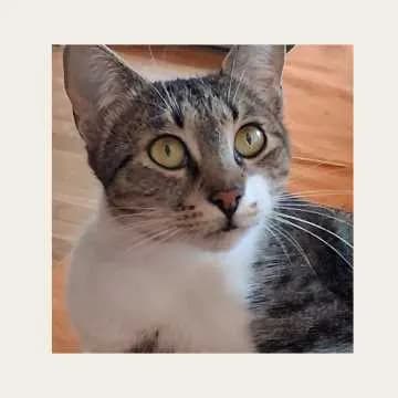 Tom