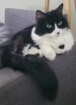 Fluffy