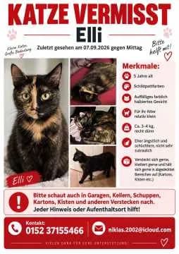 Elli