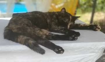 1221isobel