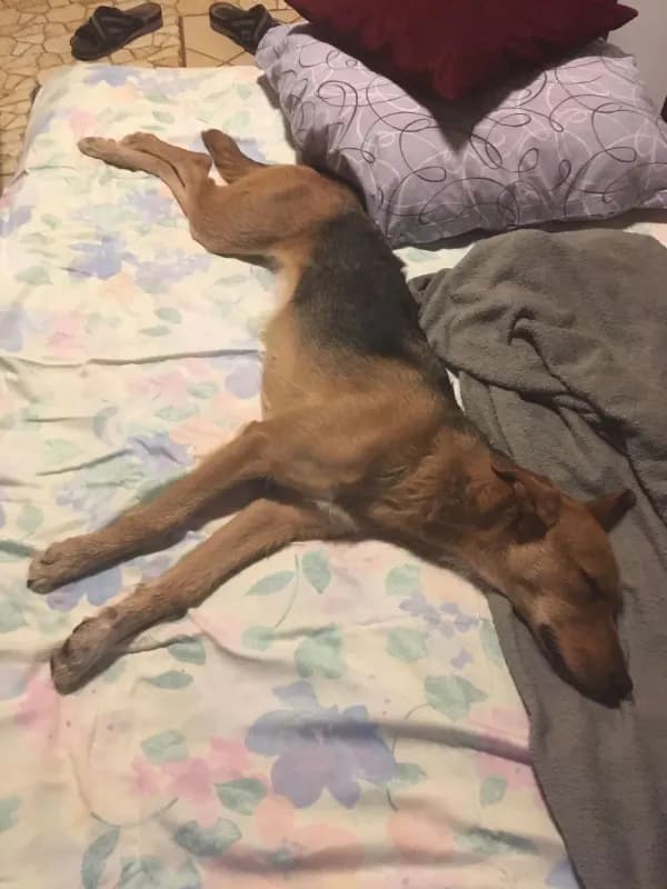 Luna