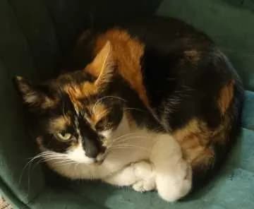 Lilly