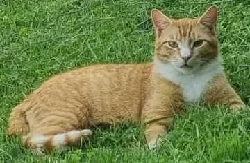 Casimir