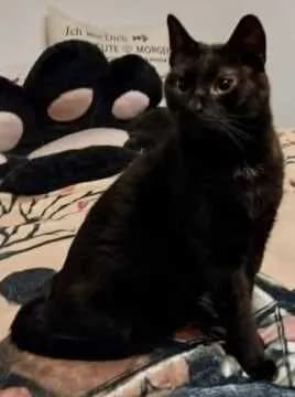 Blacky