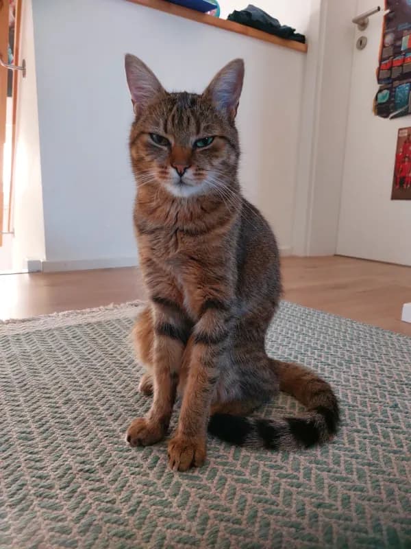 Lili