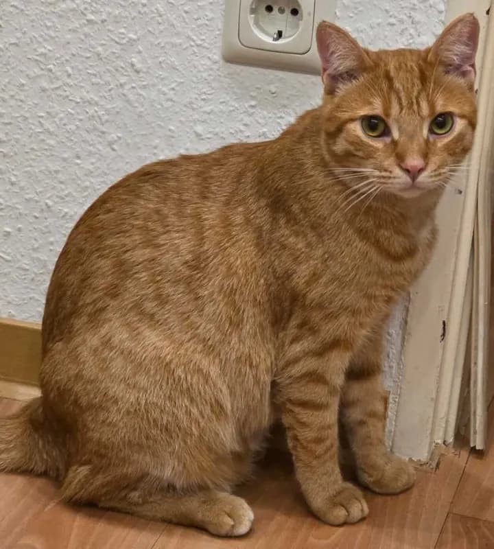 Rusty
