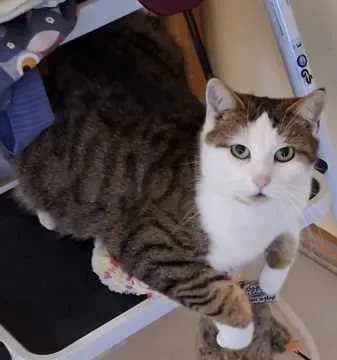 Mimi