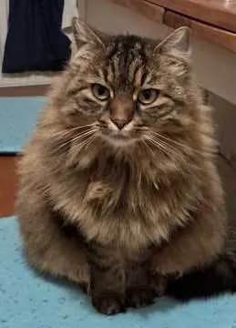 Ella
